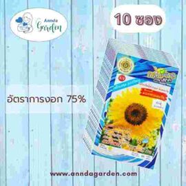 เมล็ดดอกทานตะวัน พันธุ์ธารเหลือง สี่ทิศ 10 ซอง