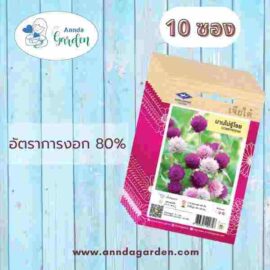 เมล็ดบานไม่รู้โรย เจียไต๋ 10 ซอง