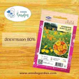 เมล็ดดาวกระจายสีเหลือง ส้ม คละสี เจียไต๋ 1 ซอง