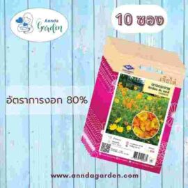 เมล็ดดาวกระจายสีเหลือง ส้ม คละสี เจียไต๋ 10 ซอง