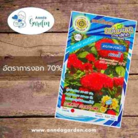 เมล็ดดอกหงอนไก่คละสี สี่ทิศ 1 ซอง
